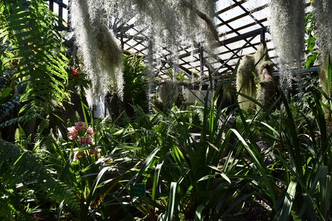 Conservatoire botanique Saint-Leu La Réunion