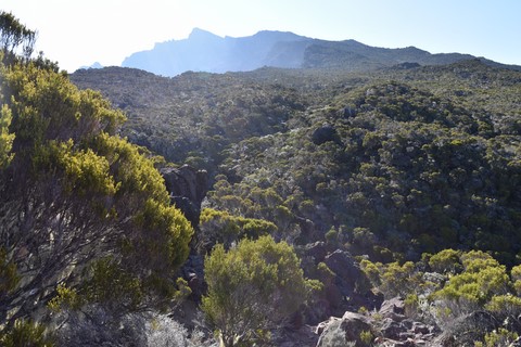 Refuge de la caverne dufour Cilaos Piton des neiges La Réunion