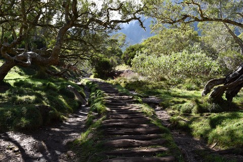 La plaine des Tamarins Col des boeufs La Nouvelle Cirque de Mafate La Réunion