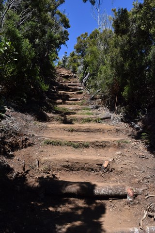 Arrivée au sommet du Dimitile La Réunion