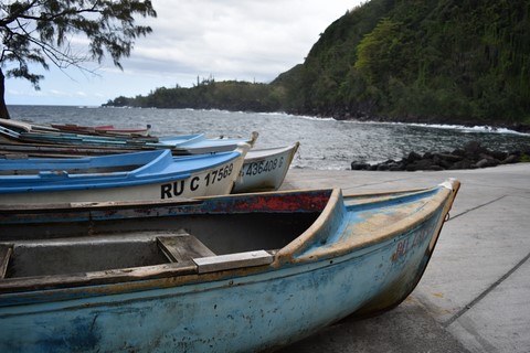 Anse des cascades Piton sainte-Rose La Réunion