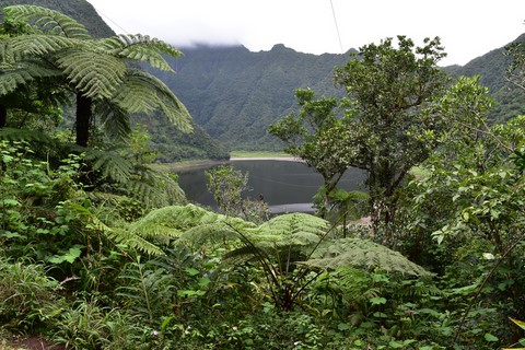 Grand étang Saint-Benoit La Réunion