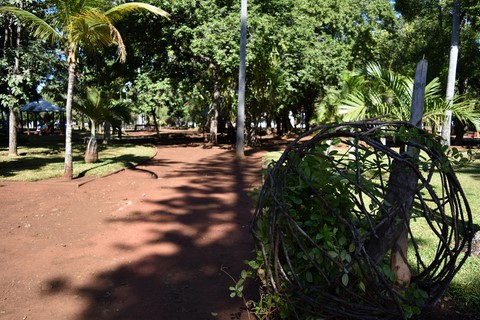 Les jardins de l'état Saint-Denis La Réunion