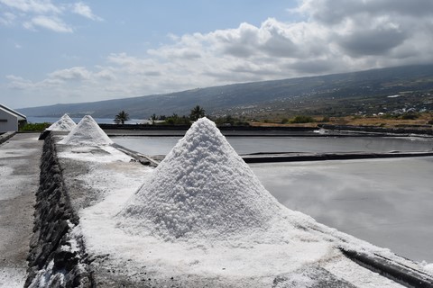 Pointe au sel Saint-Leu La Réunion