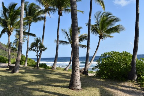 Grande anse Sud Sauvage La Réunion