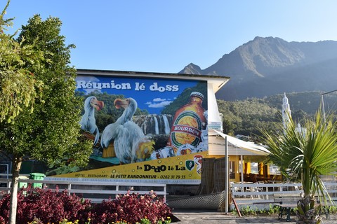 Canyoning des fleurs jaunes Cilaos La Réunion