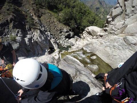Dernier Rappel canyoning fleur jaune Cilaos La Réunion