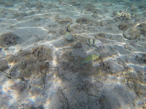 Le trou d'eau Saline-Les-Bains La Réunion