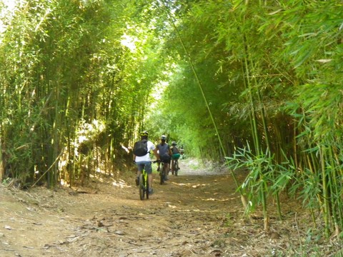 Descente VTT Coco Bike Maido Saint-Gilles-Les-Bains La Réunion