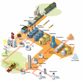 Cycle canne à sucre La Réunion