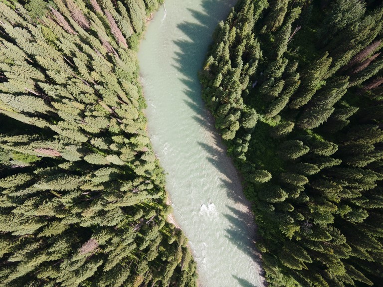Illecillewaet River Sentier du glacier Illecillewaet Glacier National Park Canada