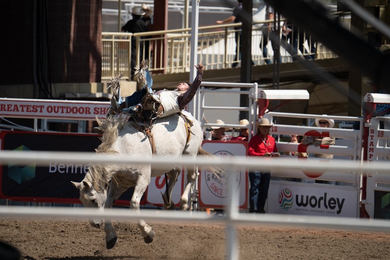 Stampede Rodeo Show 1 Calgary Canada