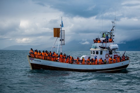 Un bateau d'observation de baleines Húsavík Islande Iceland