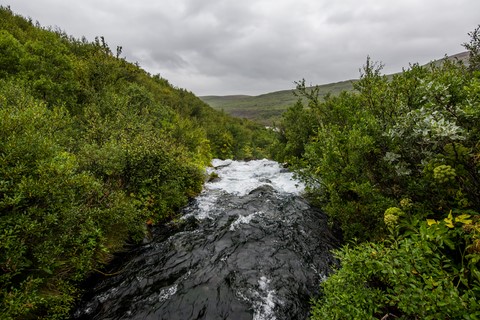 Hólmatungur Parc National de Jökulsárgljúfur Islande Iceland