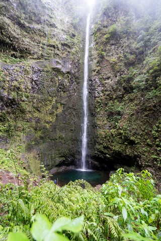 Levada do caldeirao verde Madère