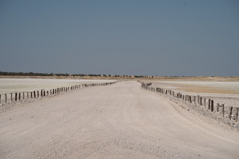 Etosha Lookout Etosha Namibie