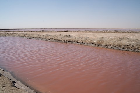Marais salants Walvis Bay Namibie