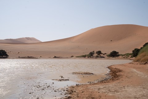 Big Mamma Sossusvlei Namibie