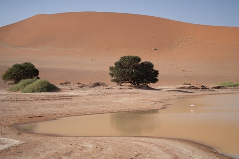 Sossusvlei 3 Namibie