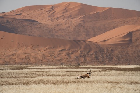Trajet Sossusvlei Sesriem 2 Namibie