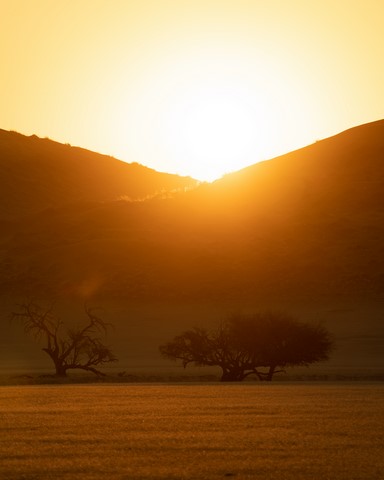 Elim Dune Sossusvlei Namibie