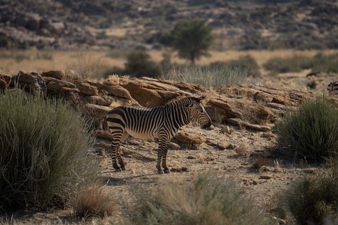 Safari Gondwana Roadhouse Fish River canyon Namibie