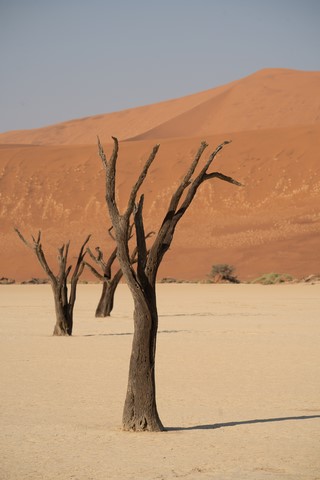 Deadvlei Namibie