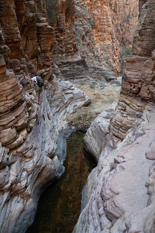 Olive Trail Naukluft Namibie