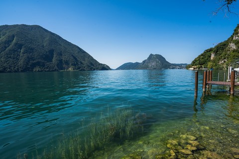 Olive trail Lugano Suisse