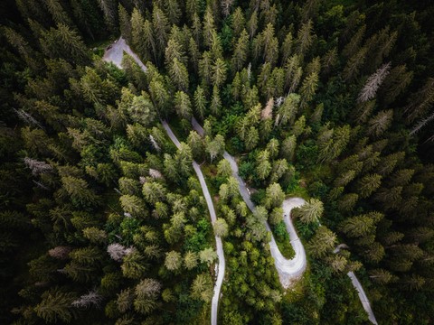  Forêt Canyon Ruinaulta Flims Suisse