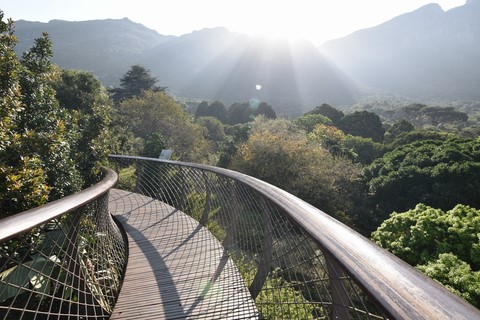 Kirstenbosch Gardens Cape Town