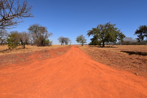 Hippo trail Mlilwane Wildlife sanctuary Swaziland