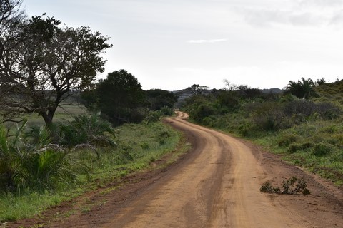 Vlei Loop Isimangaliso Wetland Park Saint Lucia