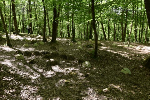 Promenade dans les jardins de Marqueyssac