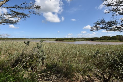 Igwalagwala trail Saint Lucia
