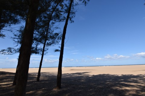 Estuary Beach Saint Lucia