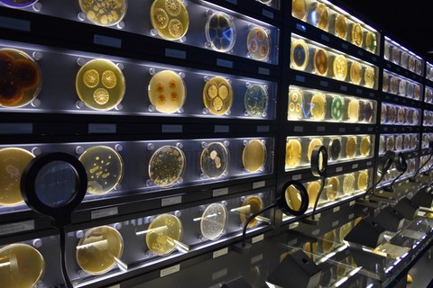 Micropia Amsterdam