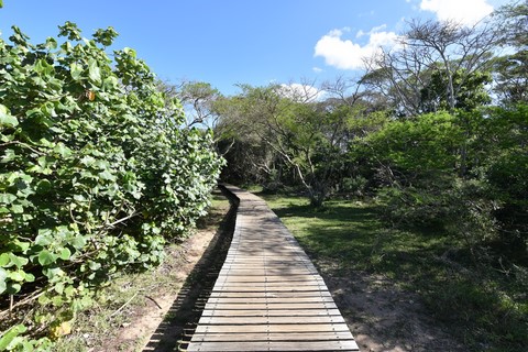 Boardwalk Saint Lucia