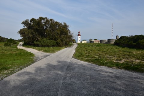 Phare Robben Island