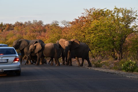 Self drive entrée Park Kruger