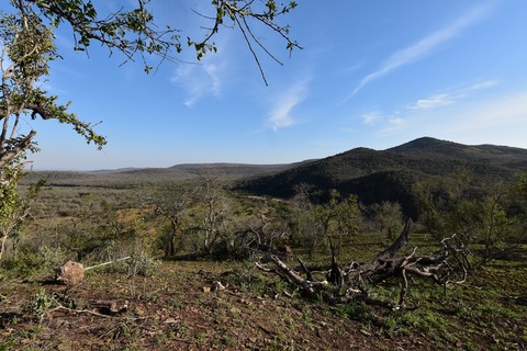 Sontuli Hluhluwe iMfolozi Park