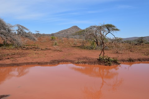 Vers Sokwezele Hluhluwe iMfolozi Park