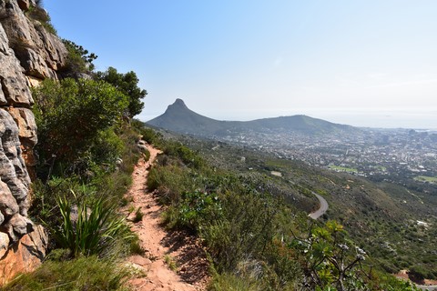 Retour Lower Station Cableway Table Mountain Cape Town