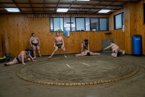 Les étirements Sumos Tokyo Japon