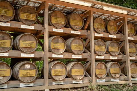 Fûts de vin Tokyo Meiji jingu temple  Japon