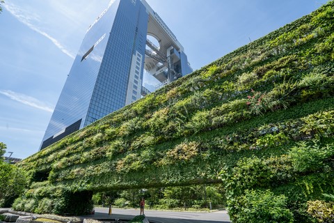 Mur végétal Umeda sky building Ōsaka Japon