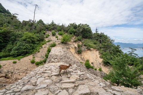 Descente du Mont Misen Miyajima Japon