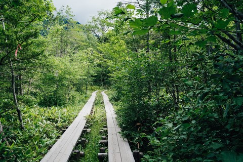 Chemin de randonnée Kamikōchi Japon