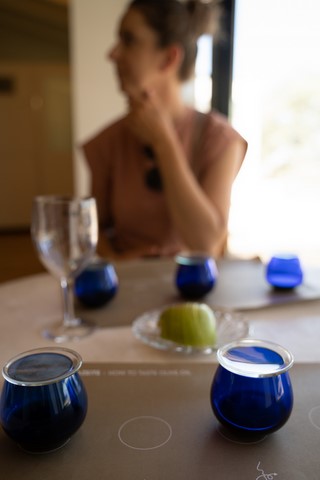 Olive tour guided and taste Esporao Evora Portugal