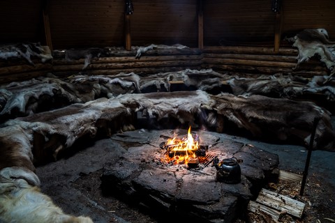 Laponie Finlandaise Rovaniemi Renne Sieriporo Safaris Kota